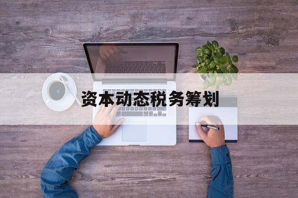 资本动态税务筹划(资本动态税务筹划案例)昆玉市