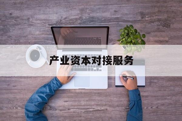 产业资本对接服务(产业资本对接服务包括哪些)昆玉市
